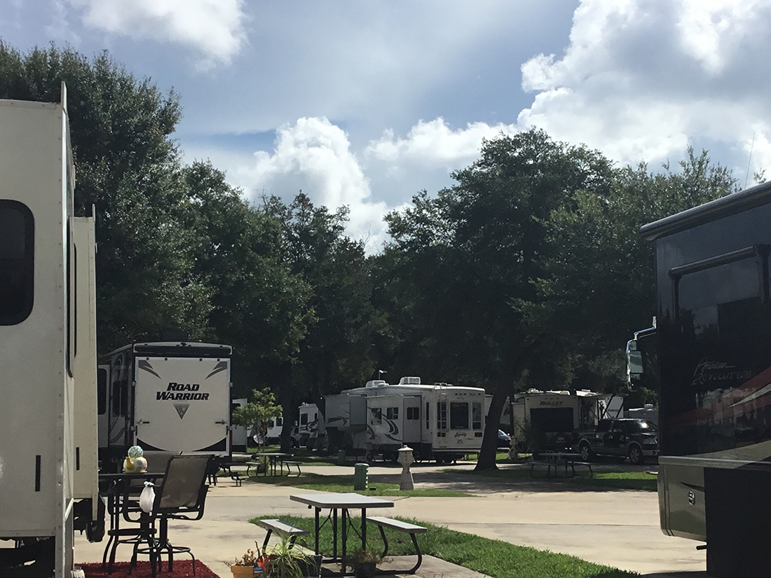 A Road Warrior trailer is among the RVs in a campground under dark-green shade trees.