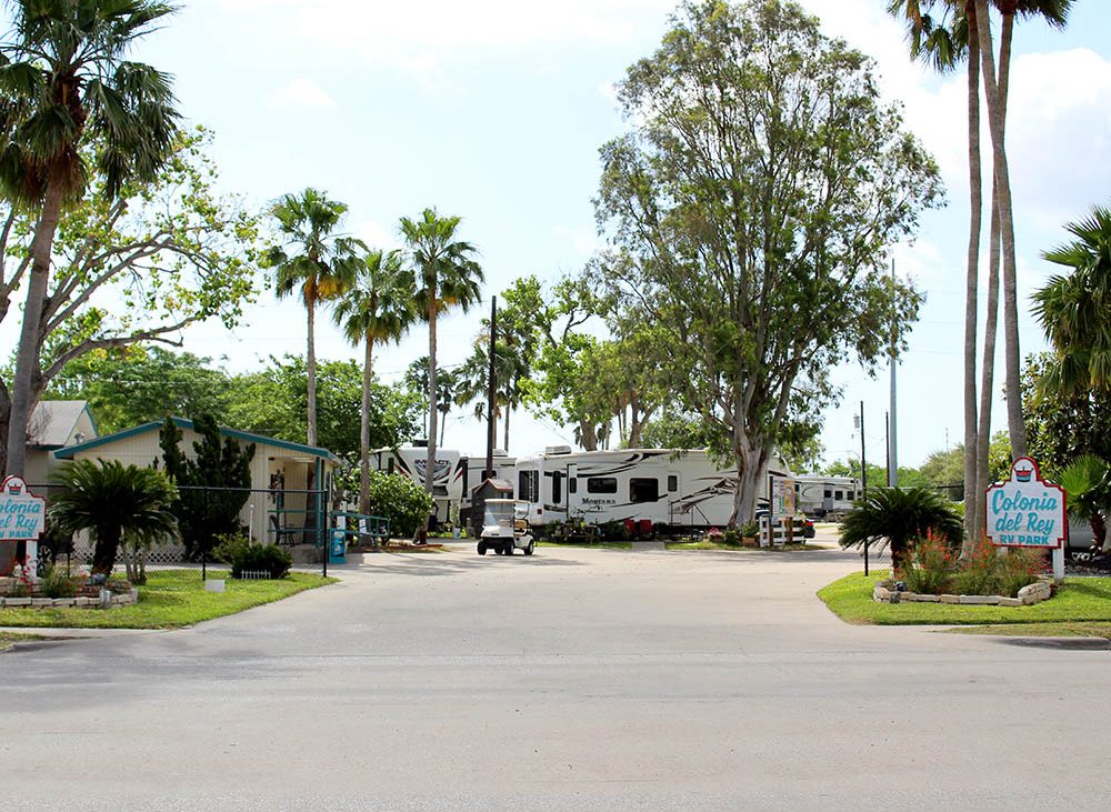 RVs under towering palm and maple trees; a small blue sign in the lower-right corner.