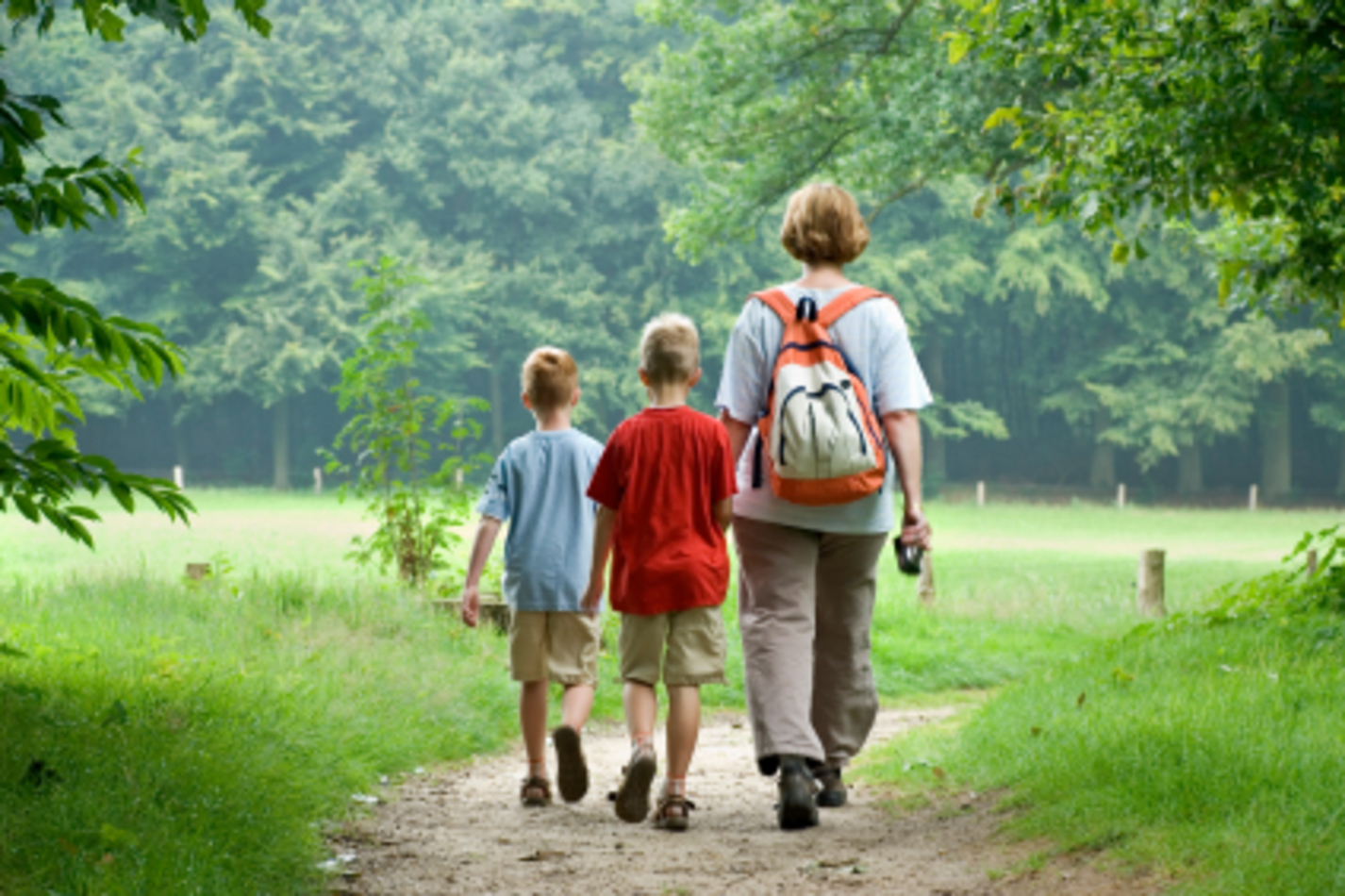 Three boys embark on a trail into a grassy field bordered by thick fur trees.