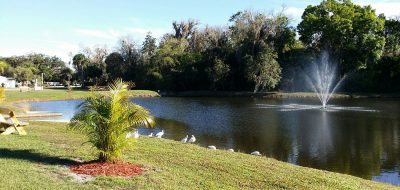 A beautiful fountain in a lake at whisper creek rv resort in florida
