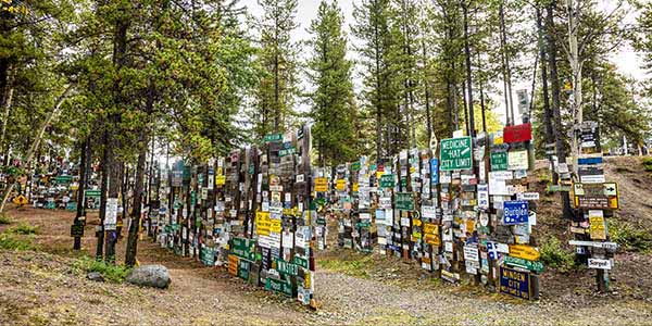 Hundreds of signs decorate a clearing in the woods. 