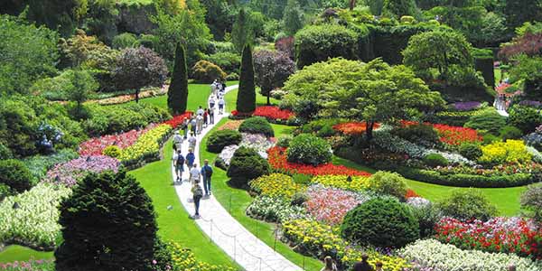 More than 900 bedding plant varieties thrive in Butchart Gardens