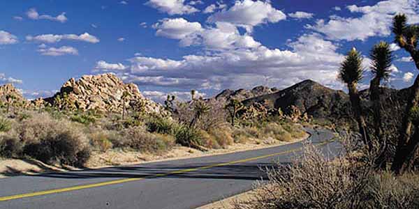 A road winds through rugged landscapes. East of Palm Springs, Joshua Tree National Park treats visitors to otherworldly beauty