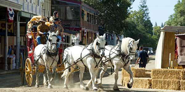 A stagecoach pulled by four white horses rush through Sacramento old town during Gold Rush Days