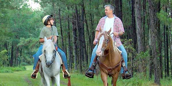 Man and boy riding horses through the forest