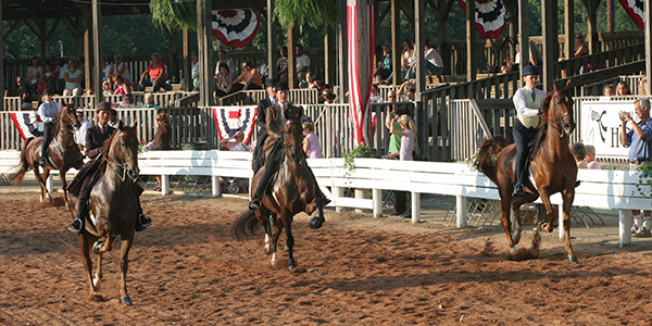 Riders elegantly parade their horses past a viewing stand