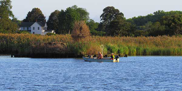 Two anglers sit in a powerboat in a river with tall reeds growing on the bank.