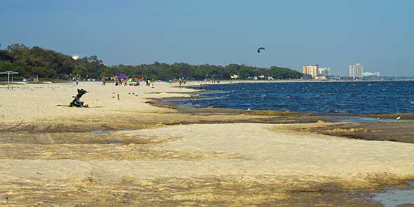 A sandy beach with high-rise buildings in the distance.