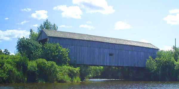 Covered bridge surrounded by trees