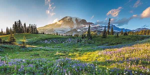 Reflection Lakes Trail rambles through colorful meadows near Mount Rainier.