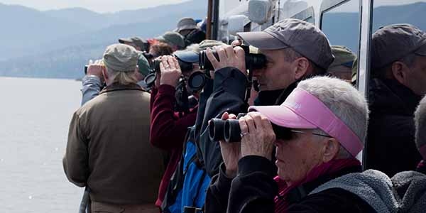 Tourist looking through binoculars