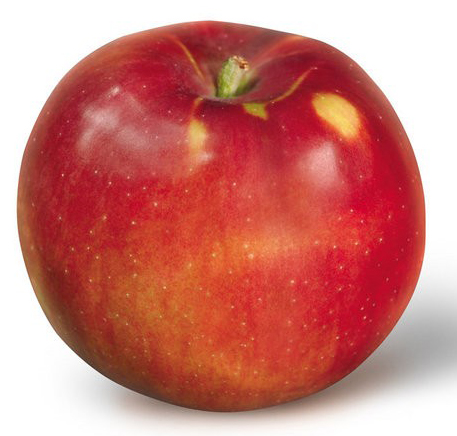 Bright red apple on a white background.