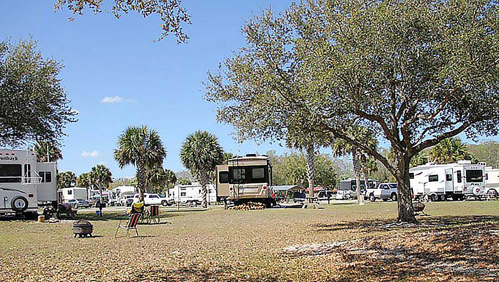 RVs parked on grassy sites with palm trees.