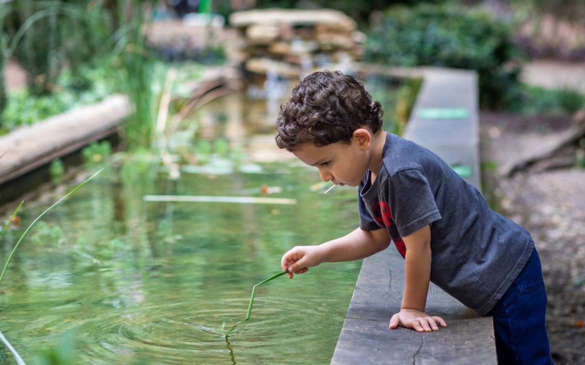 Small boy leaning over man made pond structure at Science Museum Oklahoma Gardens
