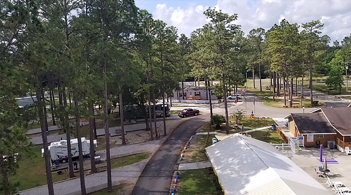 An aerial view of RVs parked amid tall, shady trees.