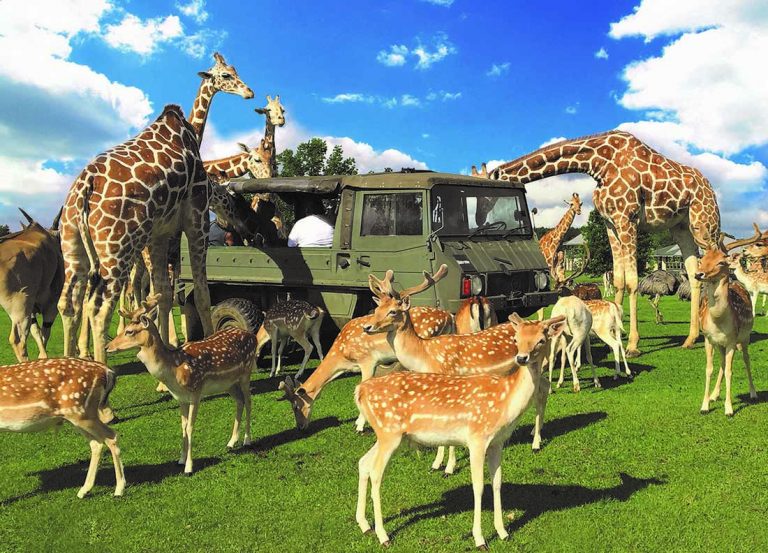 Tangipahoa Parish Fun in southeast Louisiana Good Sam