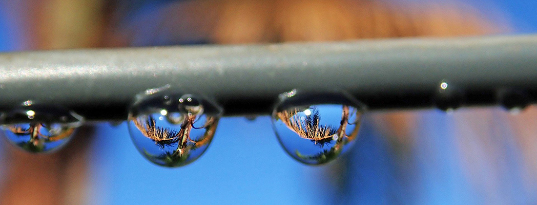 Droplets on a water line.