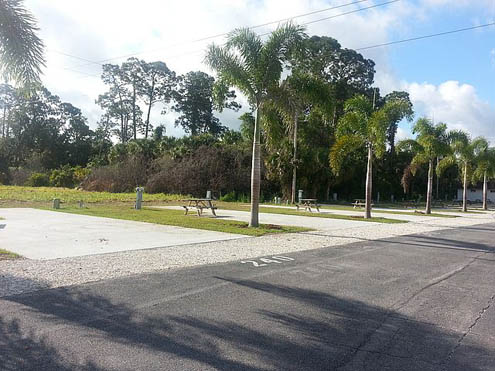 RV spaces amid lush palm trees.