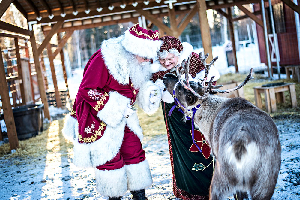 Santa and Mrs. Claus feed a reindeer.