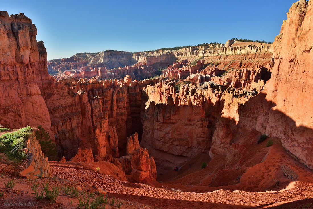 Bryce Canyon Hoodoos bathed in red light in Bryce Canyon National Park.