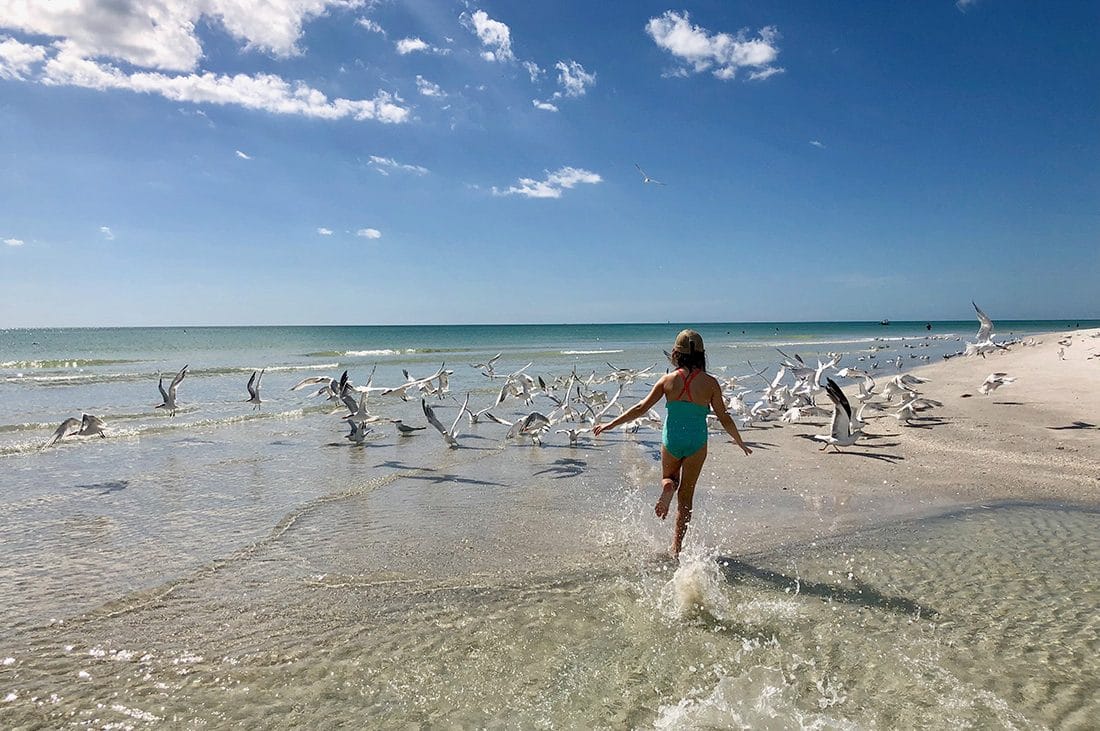 A girl runs on the beach chasing seagulls