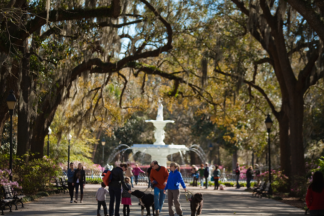 A family and dogs stroll in a tree-shaded square in Savannah