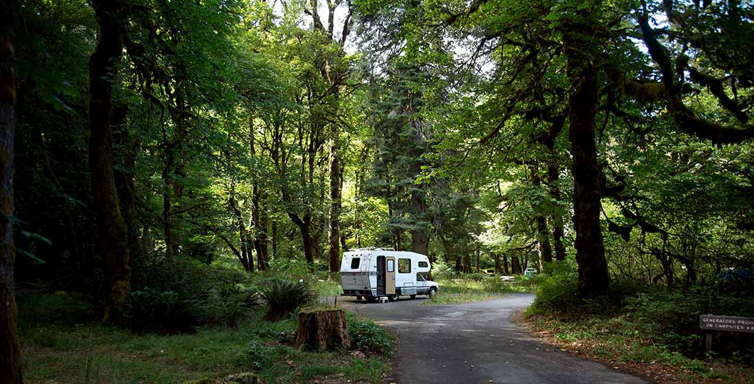 An RV parked in a forest campground, Washington state.