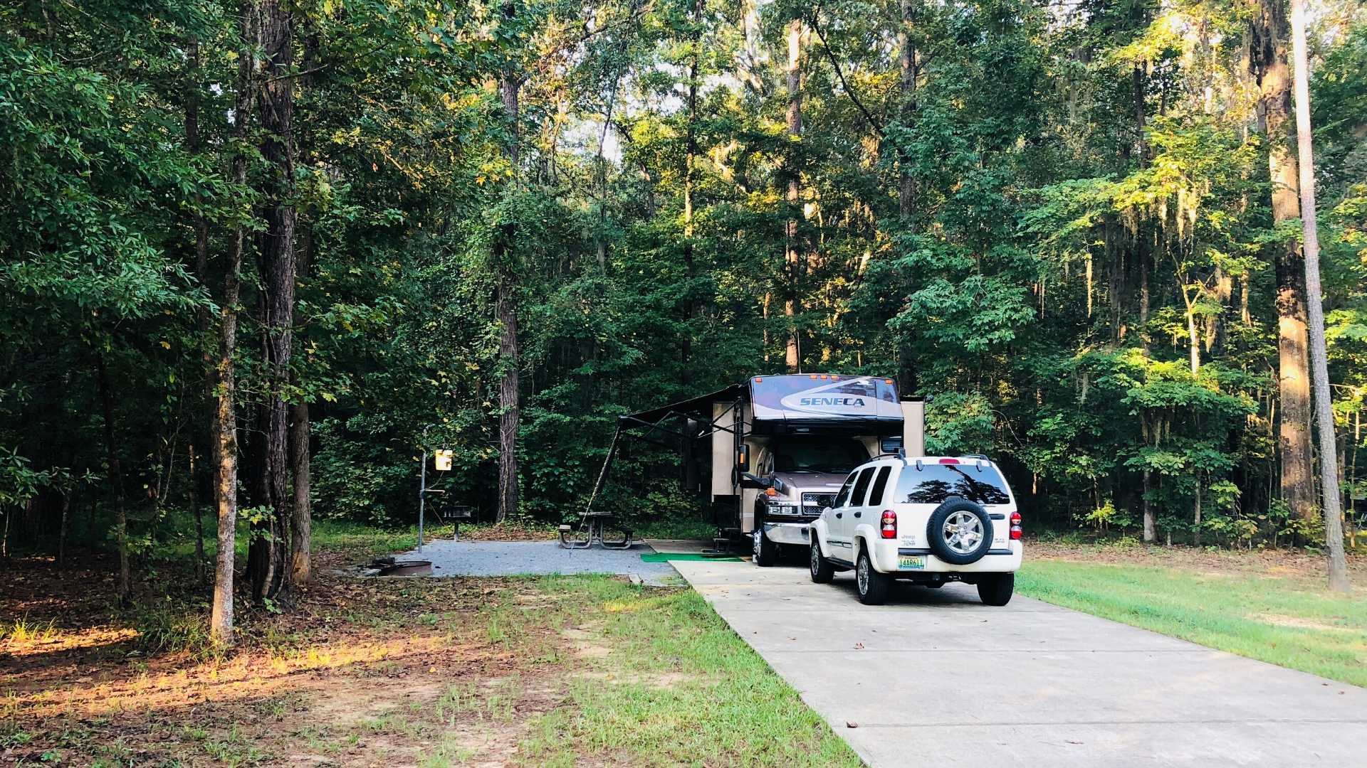 RV parked with two vehicle in a forested park.