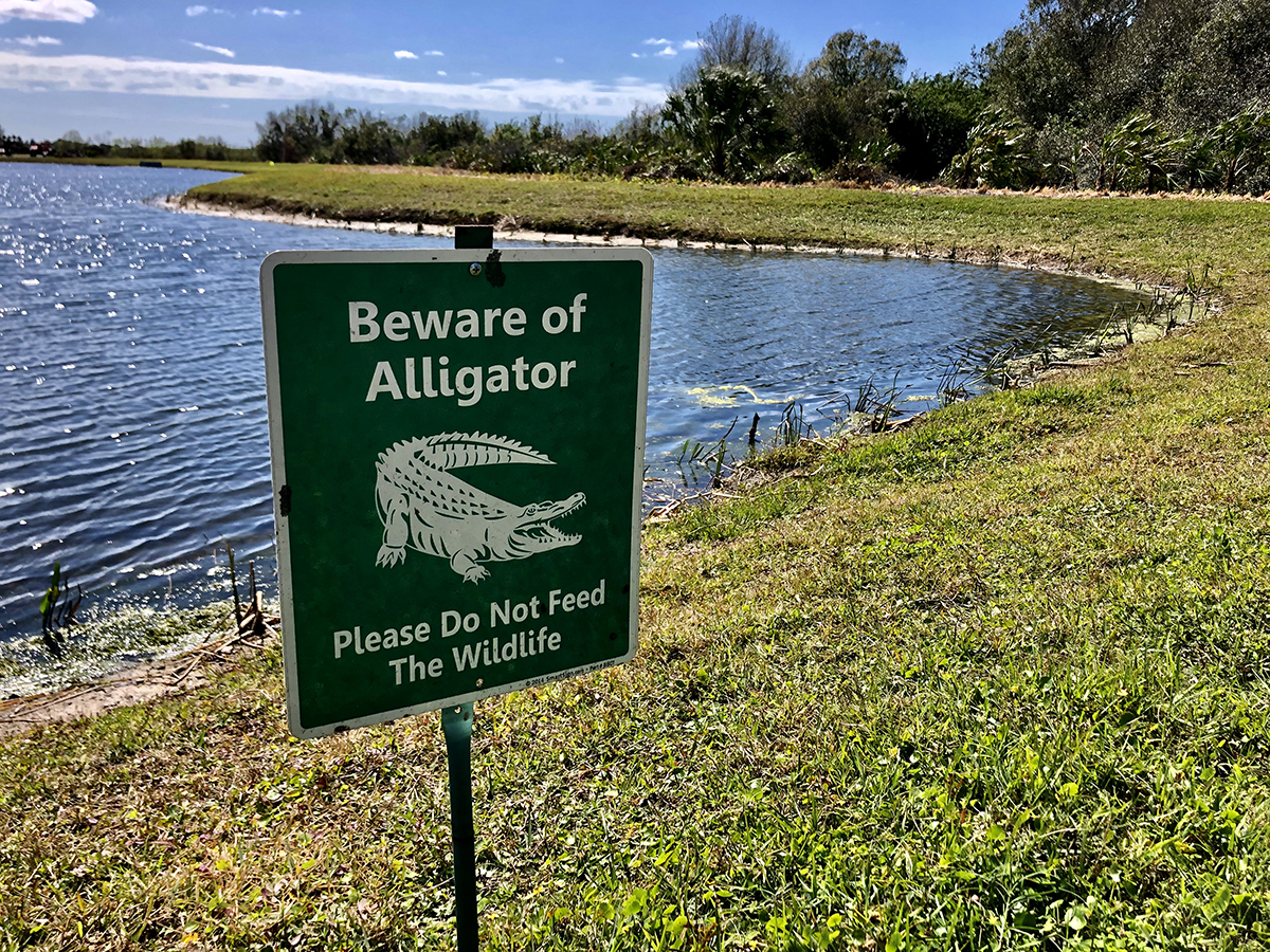 Sign warning about gators.