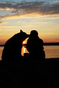 A camper watches sunset with dog friend.