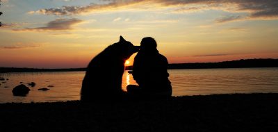 A camper watches sunset with dog friend.