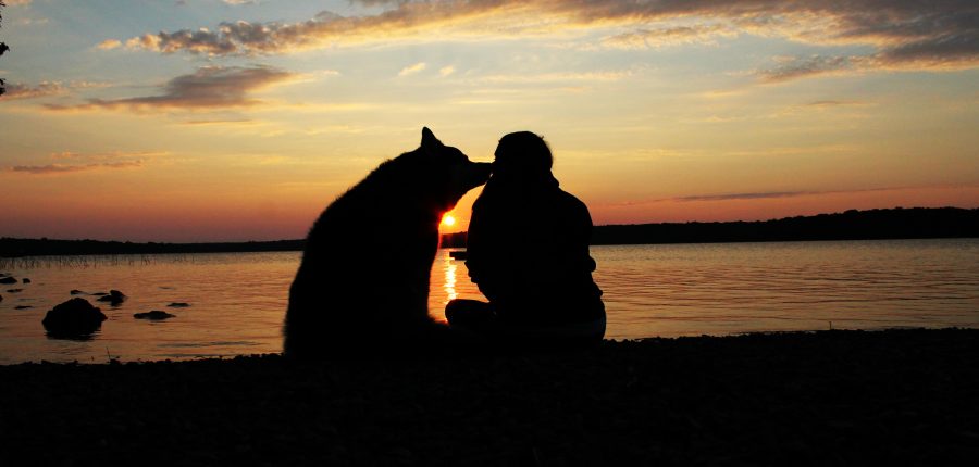 A camper watches sunset with dog friend.