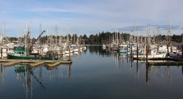 A row of docked fishing boats.