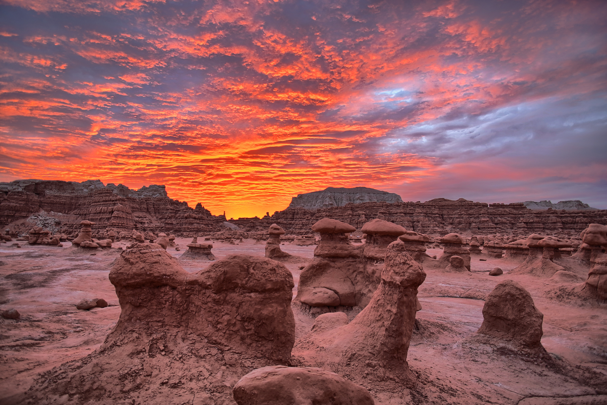 Surreal rocks across a desert floor.