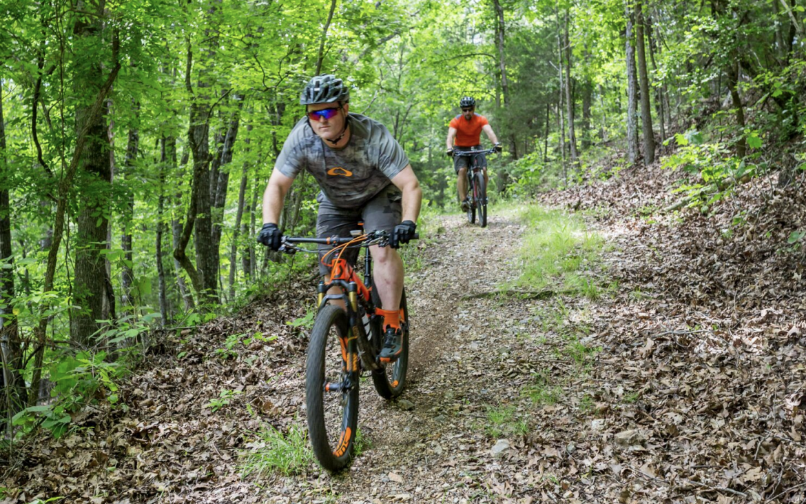 Cyclists ride down a forest trail.