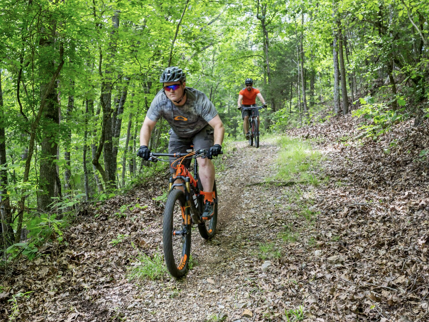 Cyclists ride down a forest trail.