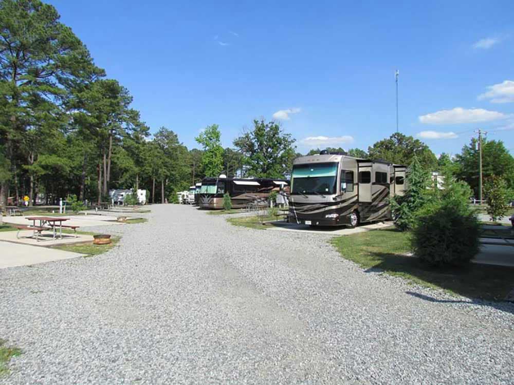 Motorhomes parked in campground.