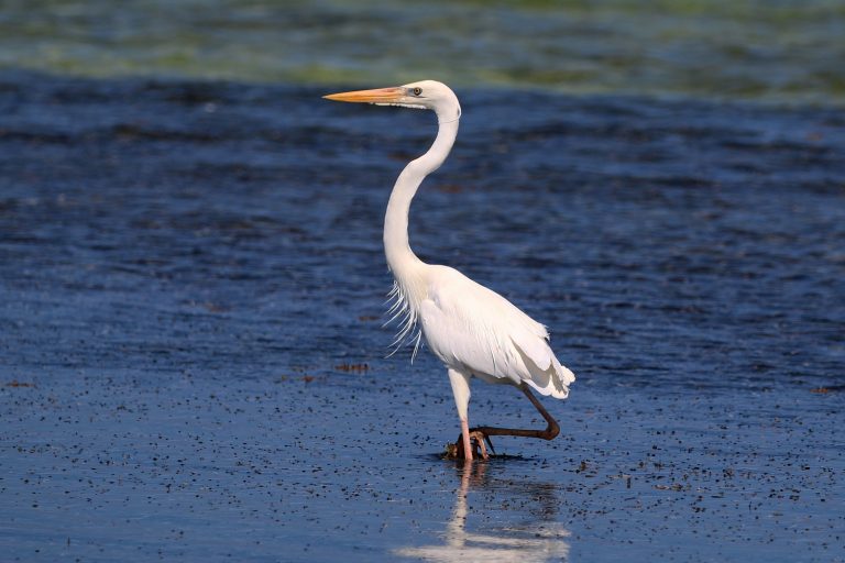 Get Back to the Florida Keys Beach for Fun in the Water | Good Sam