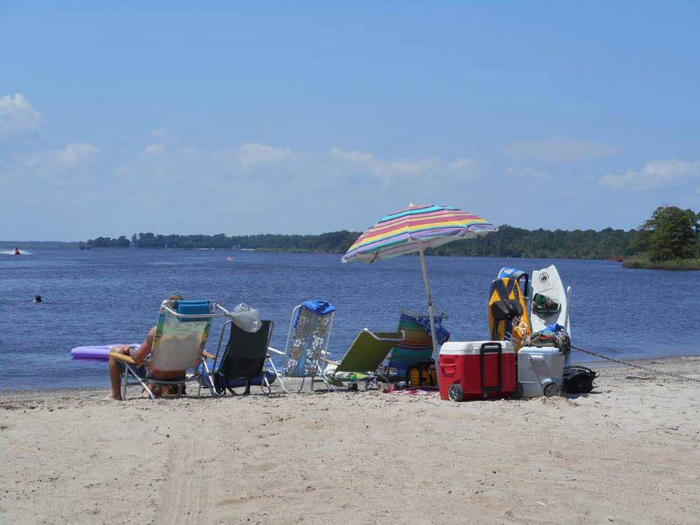 Beach chairs arrayed on sandy shore.