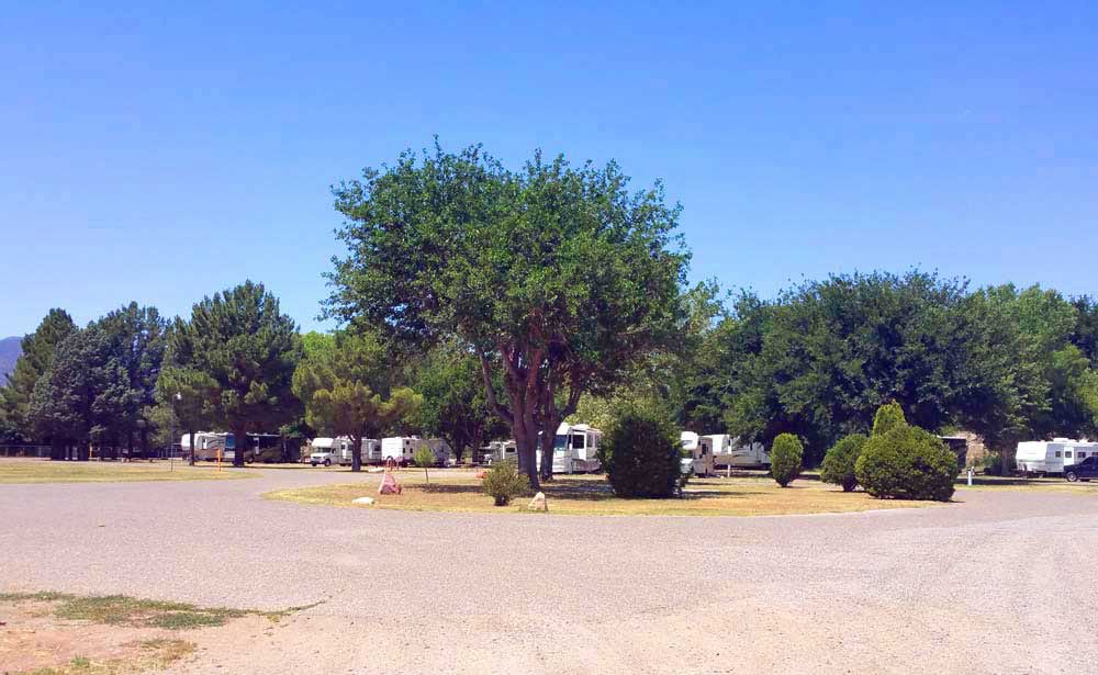 RVs parked under ample shade trees.