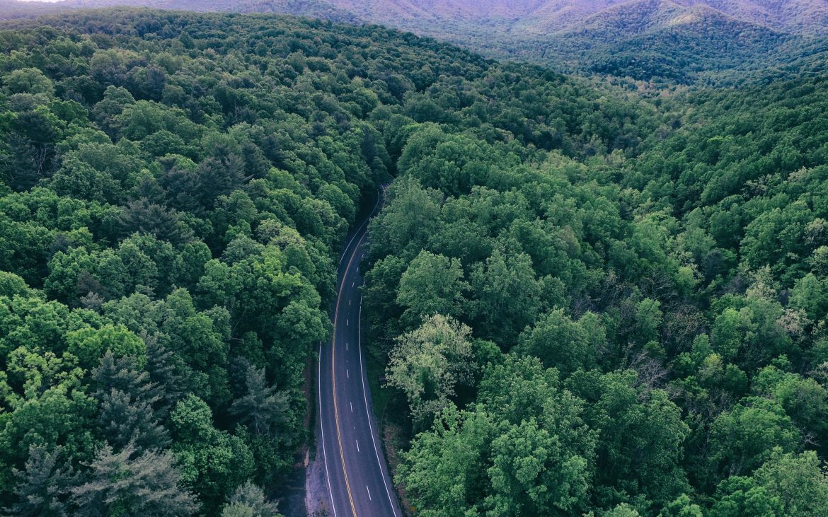 Aerial view of highway through dense green trees in Virginia