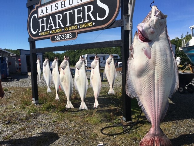 Fish hanging on display under "Afishunt Charters" sign. 