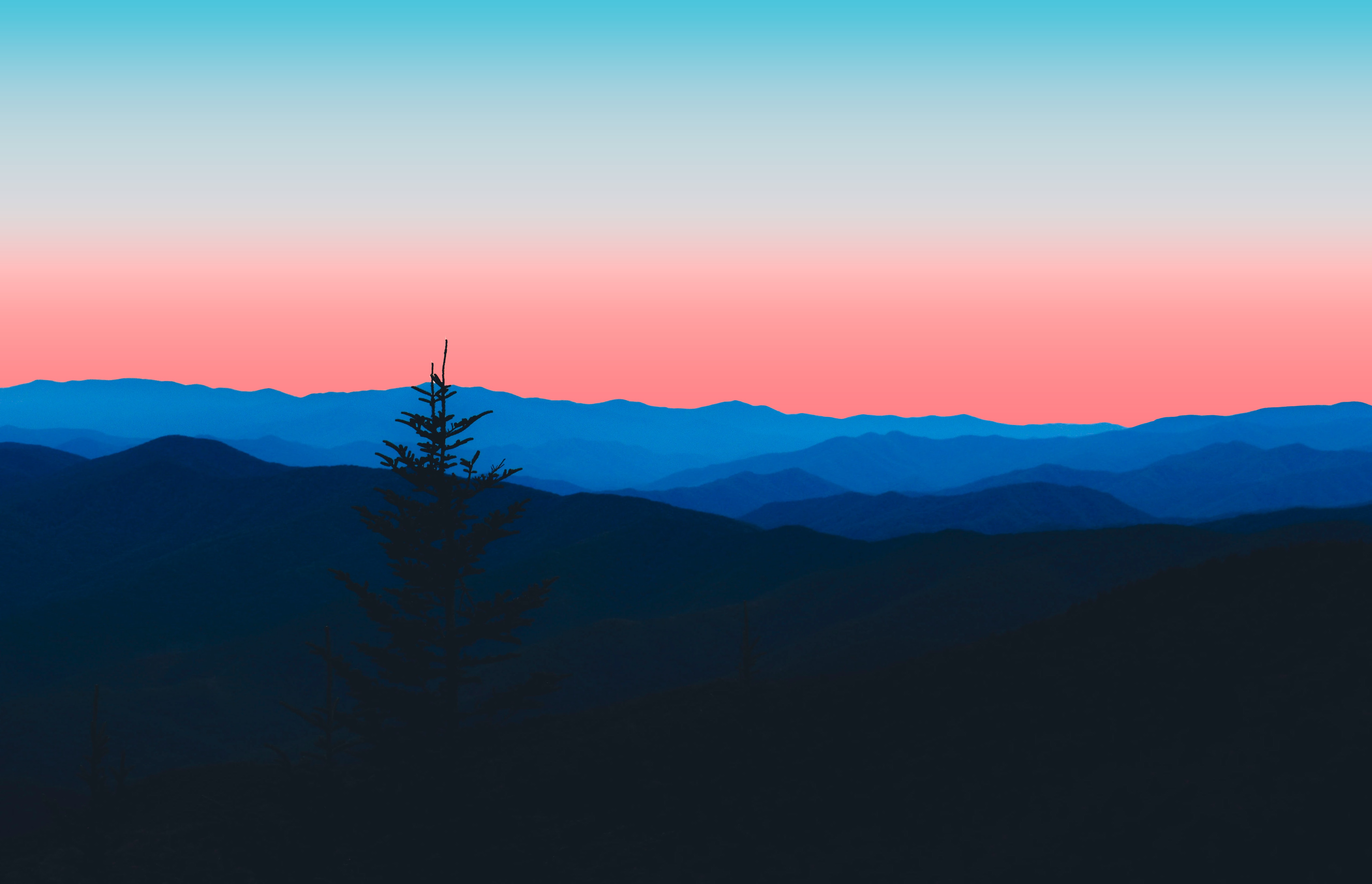 Make the South your go-to spot A hazy forest mountain horizon