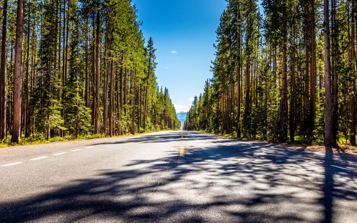 Outdoor Adventure in Bridger-Teton National Forest | Good Sam