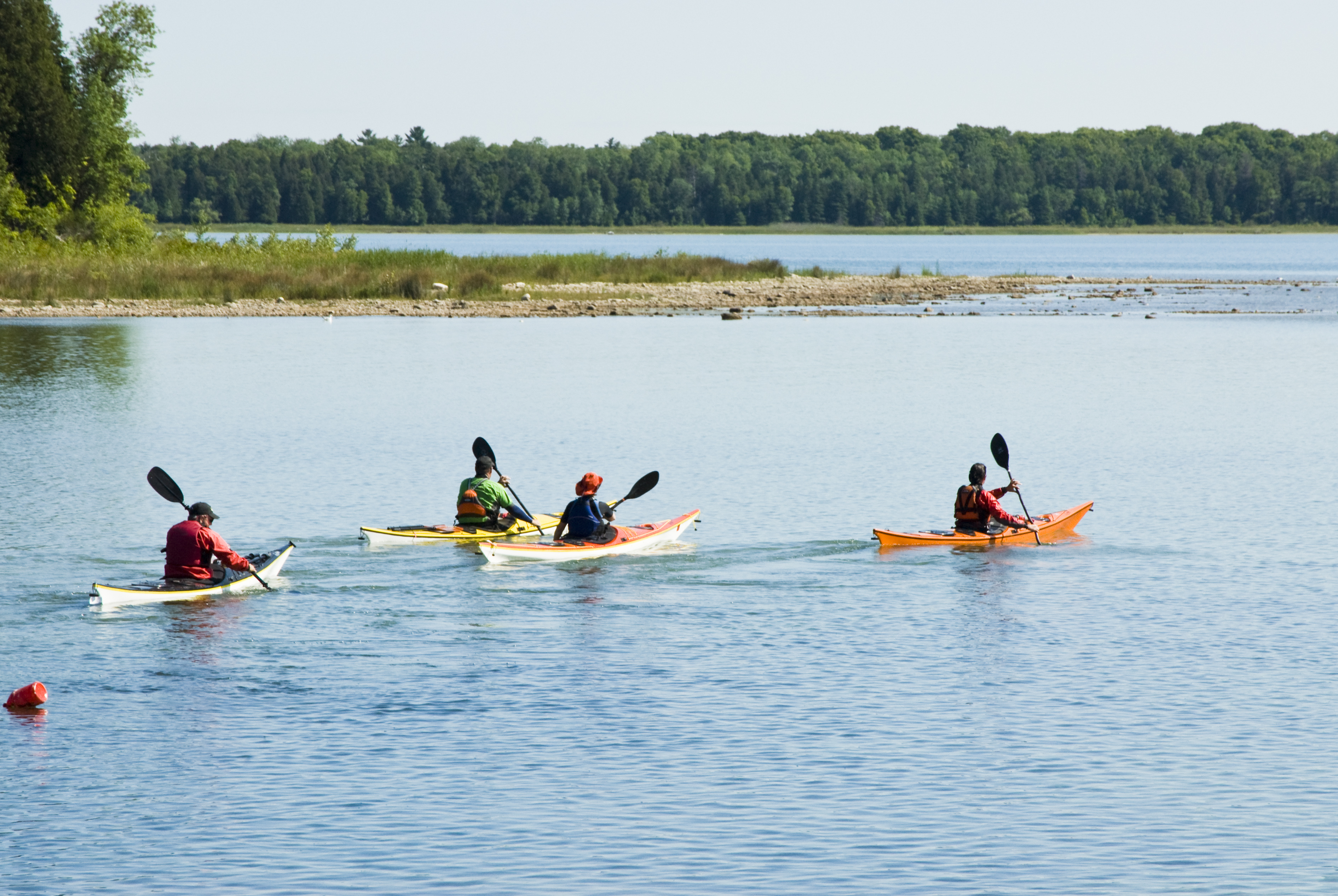A group of kayakers on a lake fringed with forest shores.