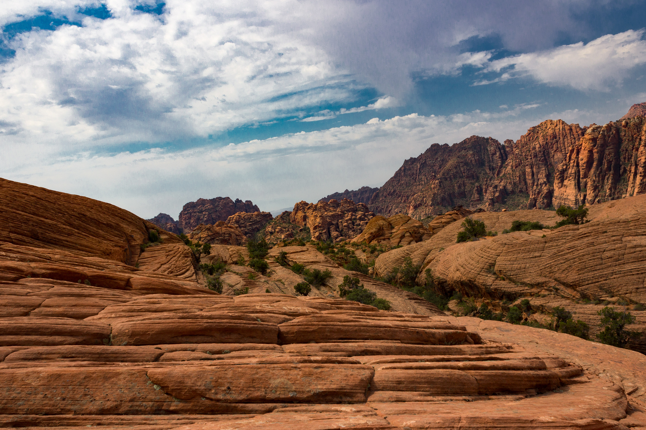 Petrified Dunes and Red Mountains.
