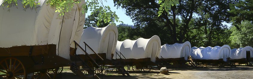 A row of conestoga wagons.