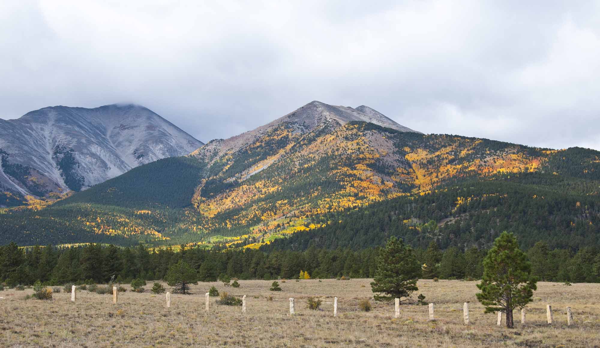 A mountain speckled with fall colors.
