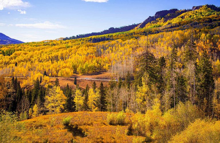 Colorado's Gold Makes it Tops Among Fall Color Destinations | Good Sam