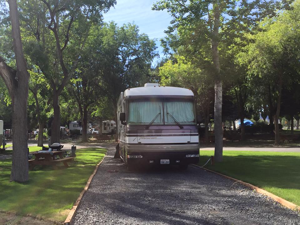 An RV parked in a shady site.